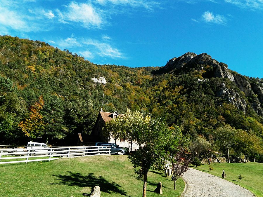 Los colores del otoño visten nuestro Pirineo