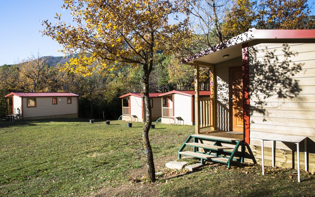 OFERTA POST COVID-19 BUNGALOWS